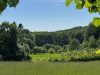 32-Rasenfläche_Blick Richtung Naturpark