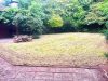 Garten - Rasenfläche